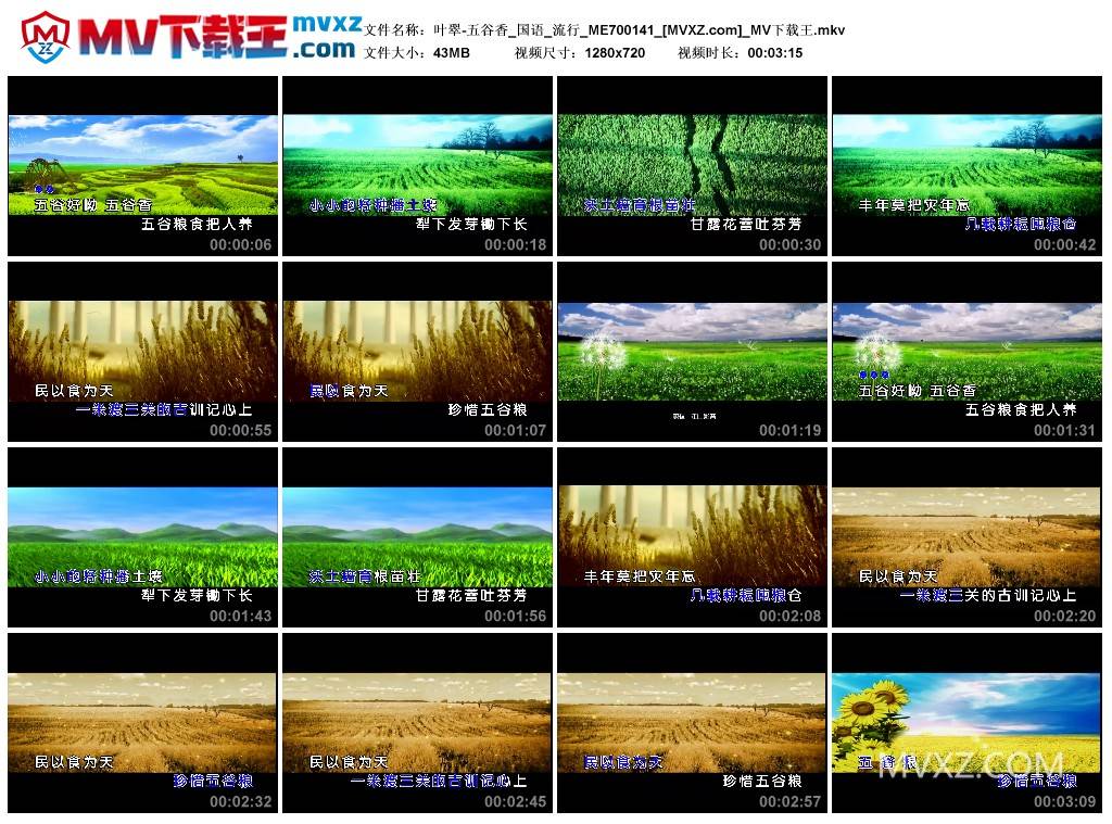 叶翠-五谷香_国语_流行_ME700141